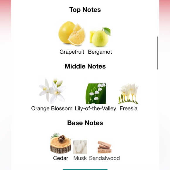 Jacadi Toute Petite Travel Size for the purse - Picture 2 of 4